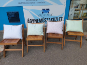 Toll kispárna, mintás anginban (40*50 cm)